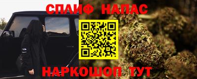 стаф Краснодар